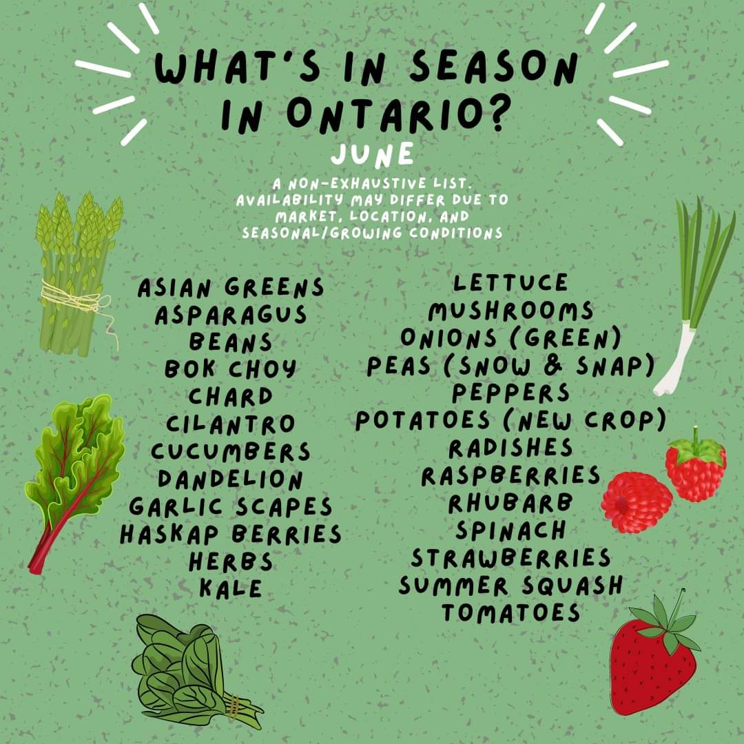 pfenningsfarm's tweet image. With Local Food Week just around the corner, it&apos;s satisfying to see the list of what&apos;s available locally getting bigger. For this month&apos;s #FindLocalFriday , check out all the goodies to watch for to add local flavour to your summer days! 😁🌞

#Pfennings4Me #LoveOntFood