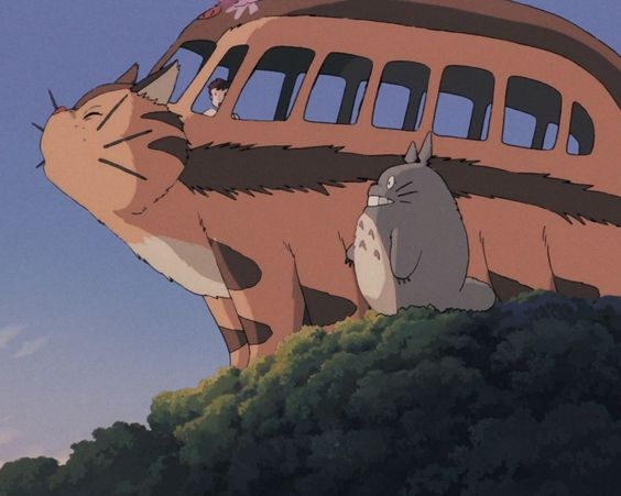 Aesthetic Sharer ZHR tweet media