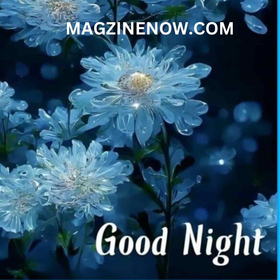#magzinenow #goodnight #nightlife #ppsitivity #sweetdreams #night #nightvibe