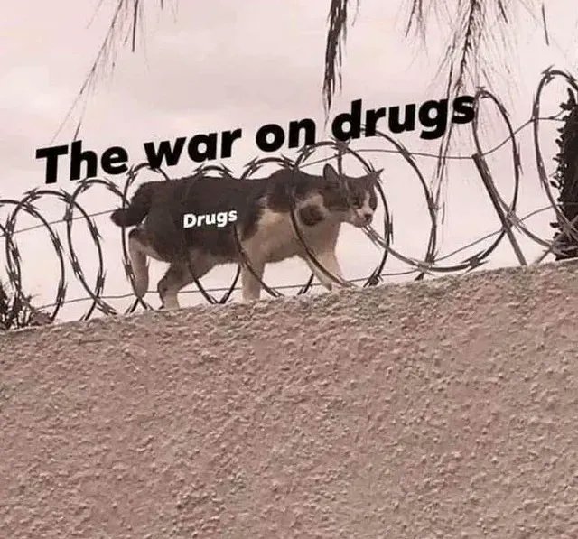 Drugs are winning 😂
