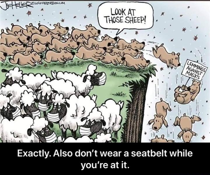 Tia Calenture 🟧🟦🔥♉⛥ I want to go home 😡🐦⋆☼☽🫏 tweet media