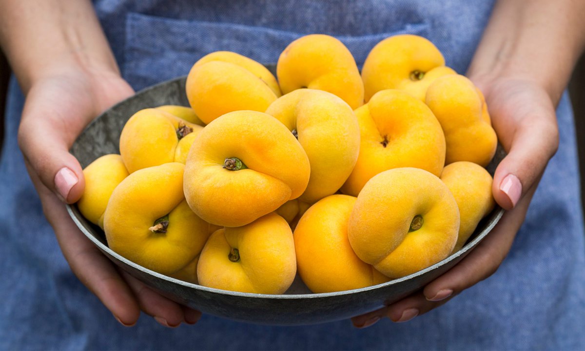 It's National Donut Day! 
___
Family Tree Farms produces donut peaches and nectarines! Have you tried them?
___
#familytreefarms #farmtofork #supportfarmers #donuts #nationalholiday #peaches #nectarines