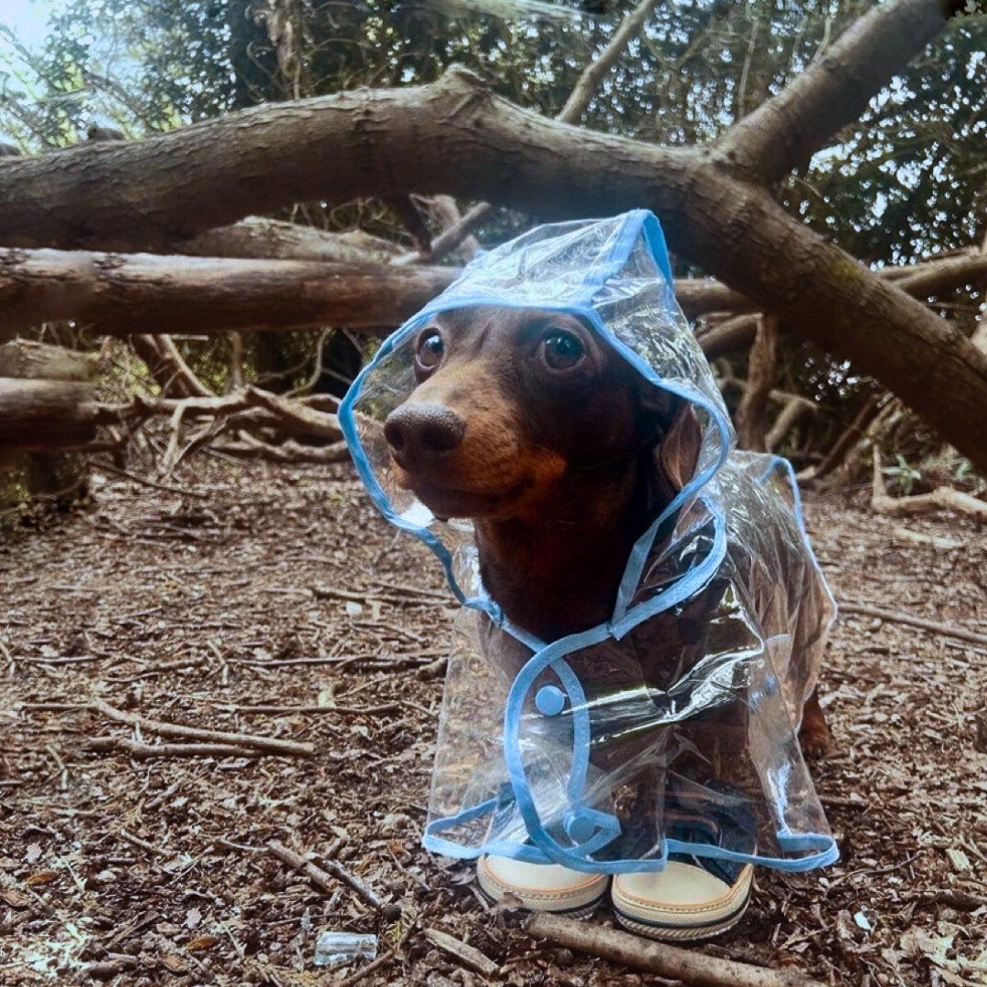 Social media managers switching to their personal accounts to engage with the content they just posted 🥸