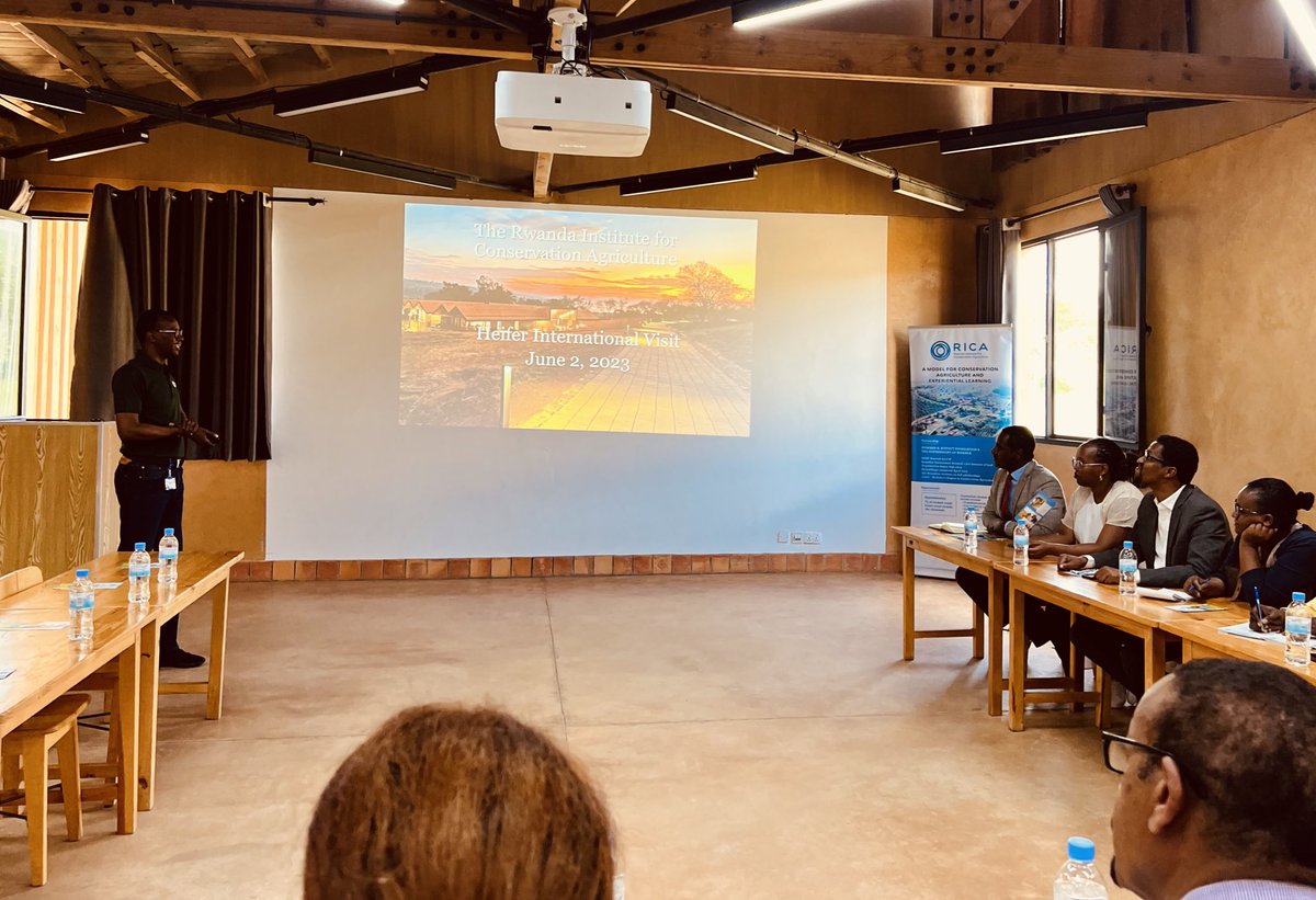 Heifer International Rwanda tweet media