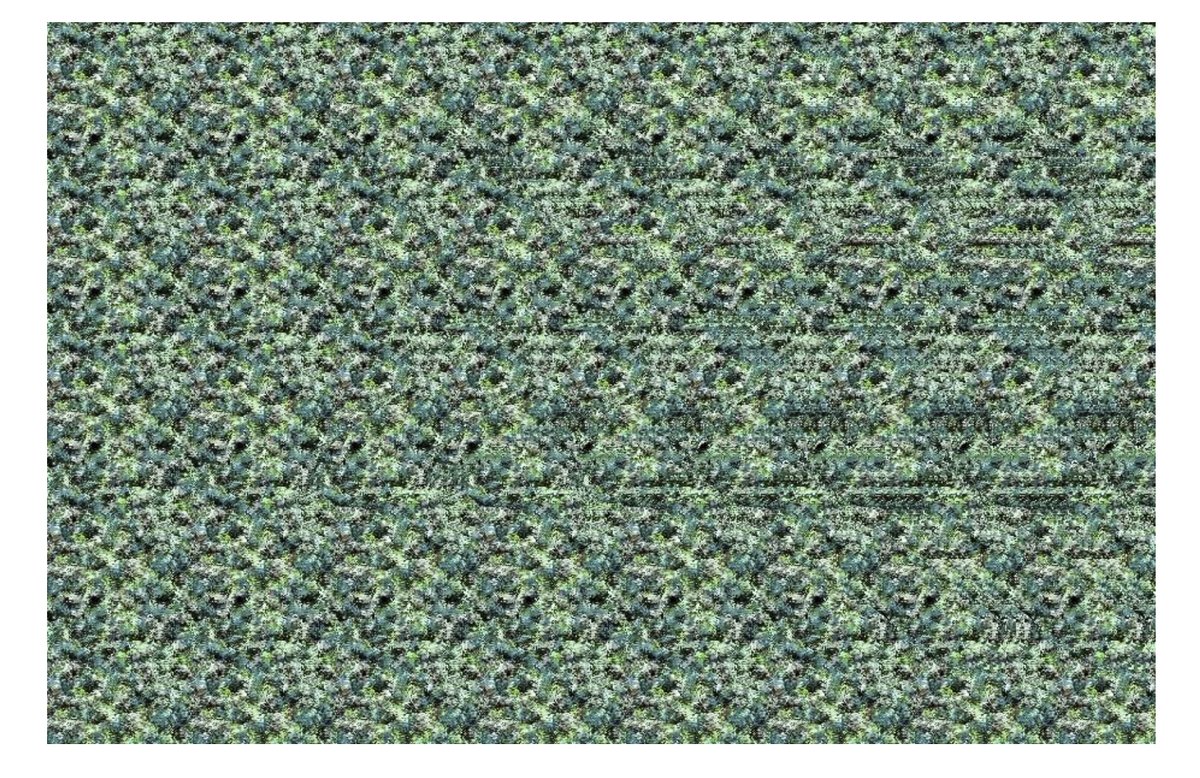 SkeetBudge's tweet image. People that can do that are usually good at seeing these quickly...