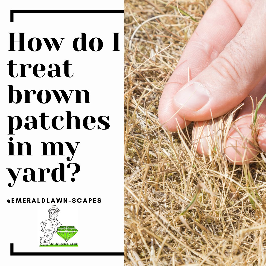 Brown areas can often be resolved with watering, but if that doesn't work check for the following:
*possible fungus
*chinch bugs
*construction debris buried under the soil
Still unsure? Call us to come take a look- 973-335-3320.
#EmeraldLawnScapes #Summer #NJLawnCare #BoontonNJ