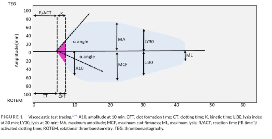 Megan Rech, PharmD, MS tweet media