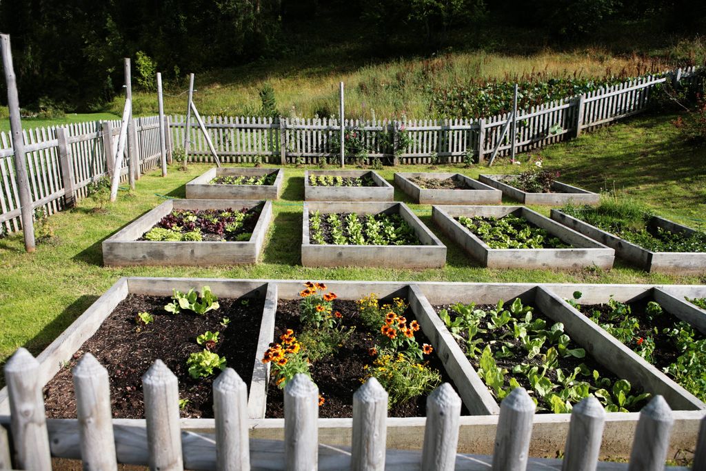 What would you grow if you had all this space to grow your own food?

#NYCwithTLC, #nycrealestate, #faverealty, #nassaucounty, #kingscounty, #sellmyhouse, #firsttimehomebuyer, #wanttomove, #realestategoals, #brooklynlife,... facebook.com/22376457098539…