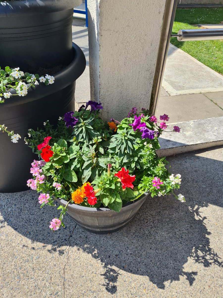 UHW_Waterford's tweet photo. On this bank holiday weekend on @pridemonth we need to stop and admire the beauty around us. 💐 #careinthesun Slip/Slop/Slap/Seek/Slide. Stop and think before you come to ED #optionsavailable https://t.co/ZncpGhS8aG