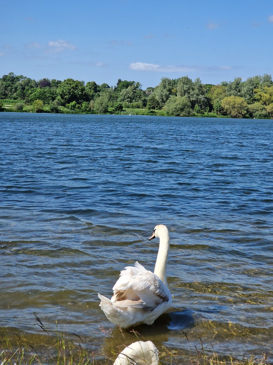 Jaymee @ The Mum Diaries tweet media