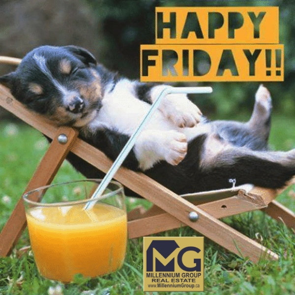 HEAT WARNING today! Best to just take the day off, slip into some shorts, lay back and have a nice cold drink 🍹

#TGIF #FridayMood #FridayVibe #HeatWarning #KendraCutroneBroker #TonyCutroneRealtor #MillenniumGroupRealEstate #MillenniumGroup #BestRealtorVaughan #BestRealtorMaple