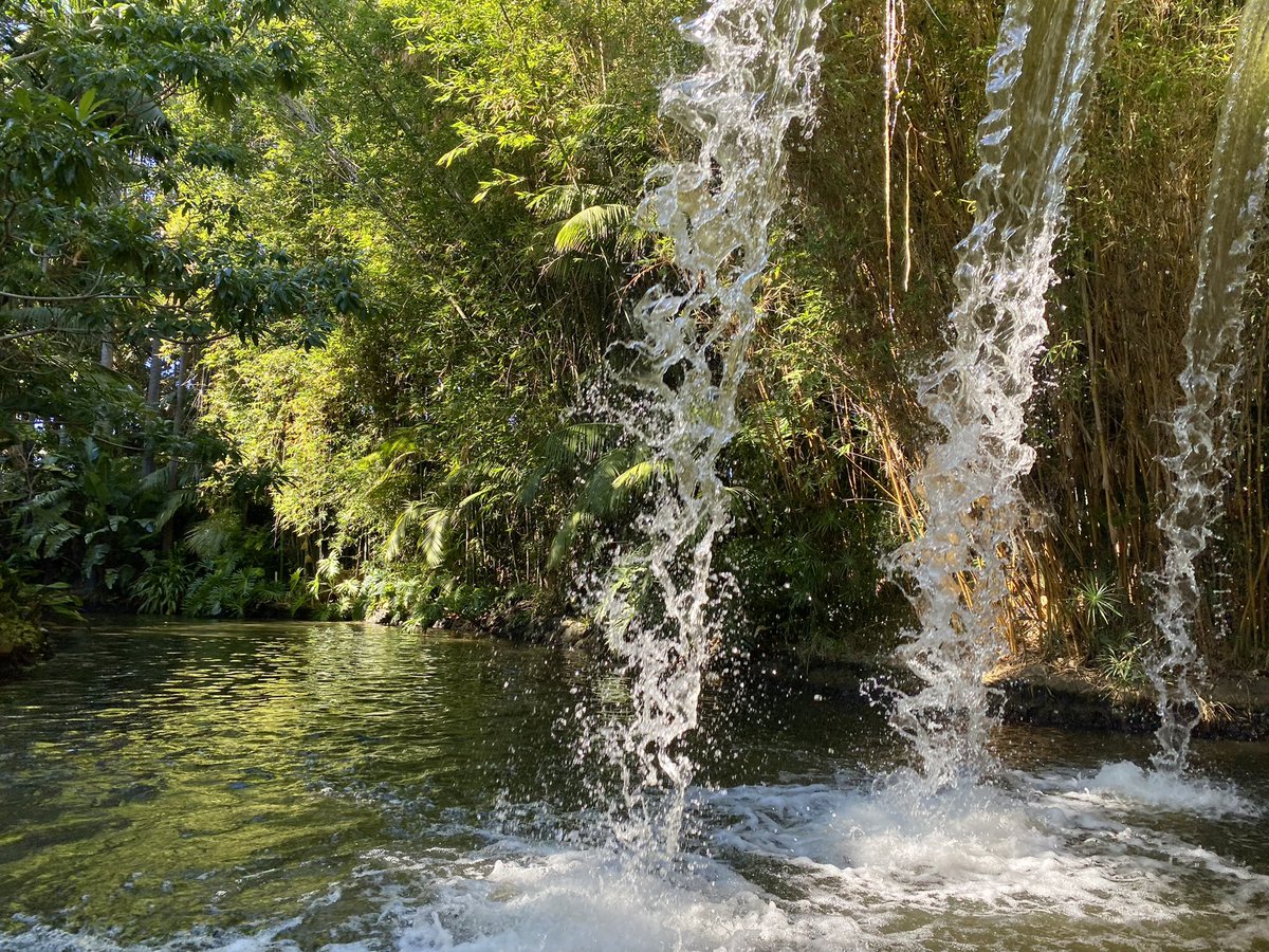 The backside of water, Disneyland, California thedngr.com for art photography $14 tshirts buttons magnets mirrors NFTs + ebay collectibles @ ebay.com/usr/thedngr #photographer #nature #travel #disneyworld #junglecruise #thejunglecruise #waterfall #disney #disneyart