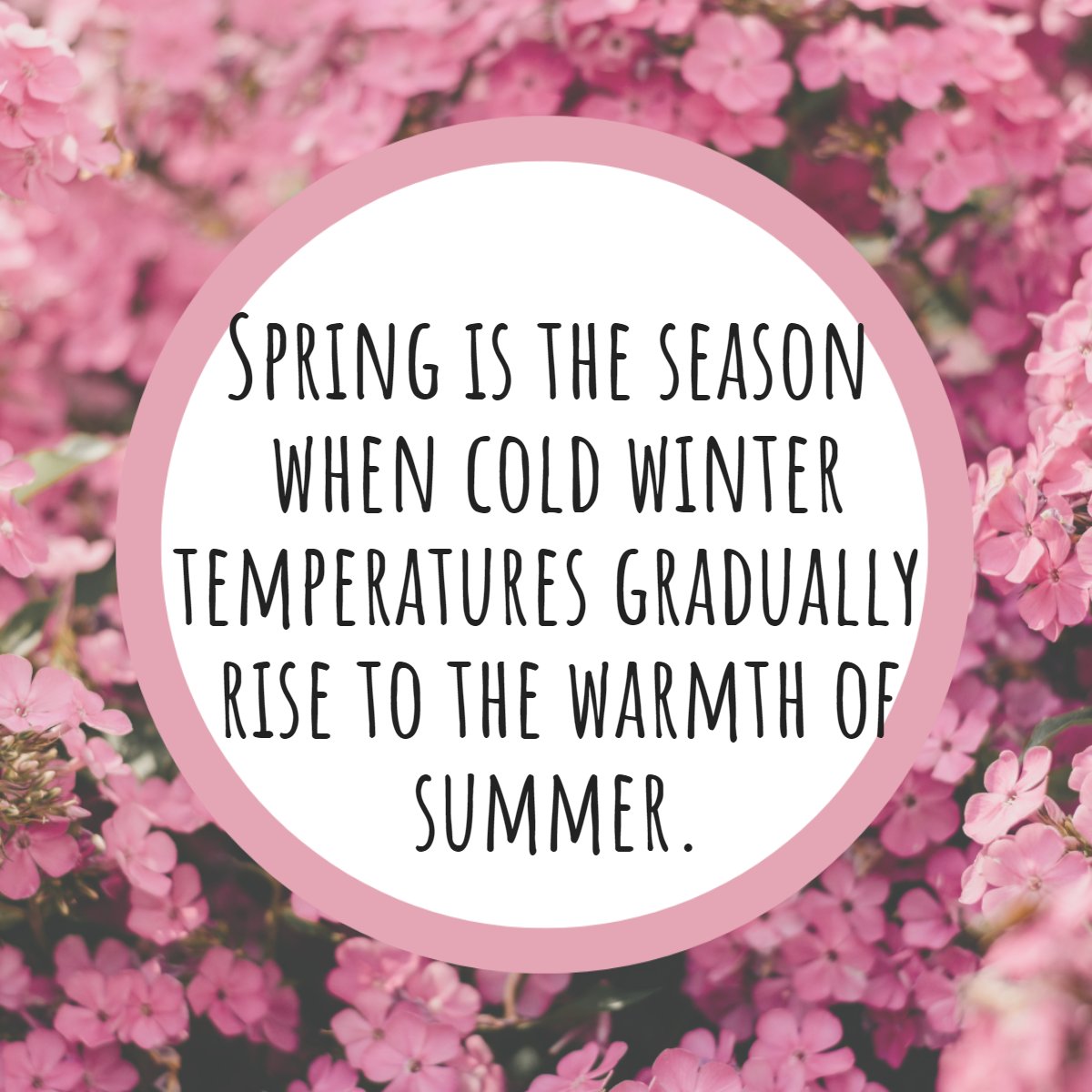 Do you love spring?

What do you usually do during spring? Let us know below! 👇

#Spring  #Funfact  #Factoftheday
#chadwickknight #realtor #realestate #floridarealtor #floridarealestate #mvprealty #realestateadvisor #homesforsale #property #forsale #newhome