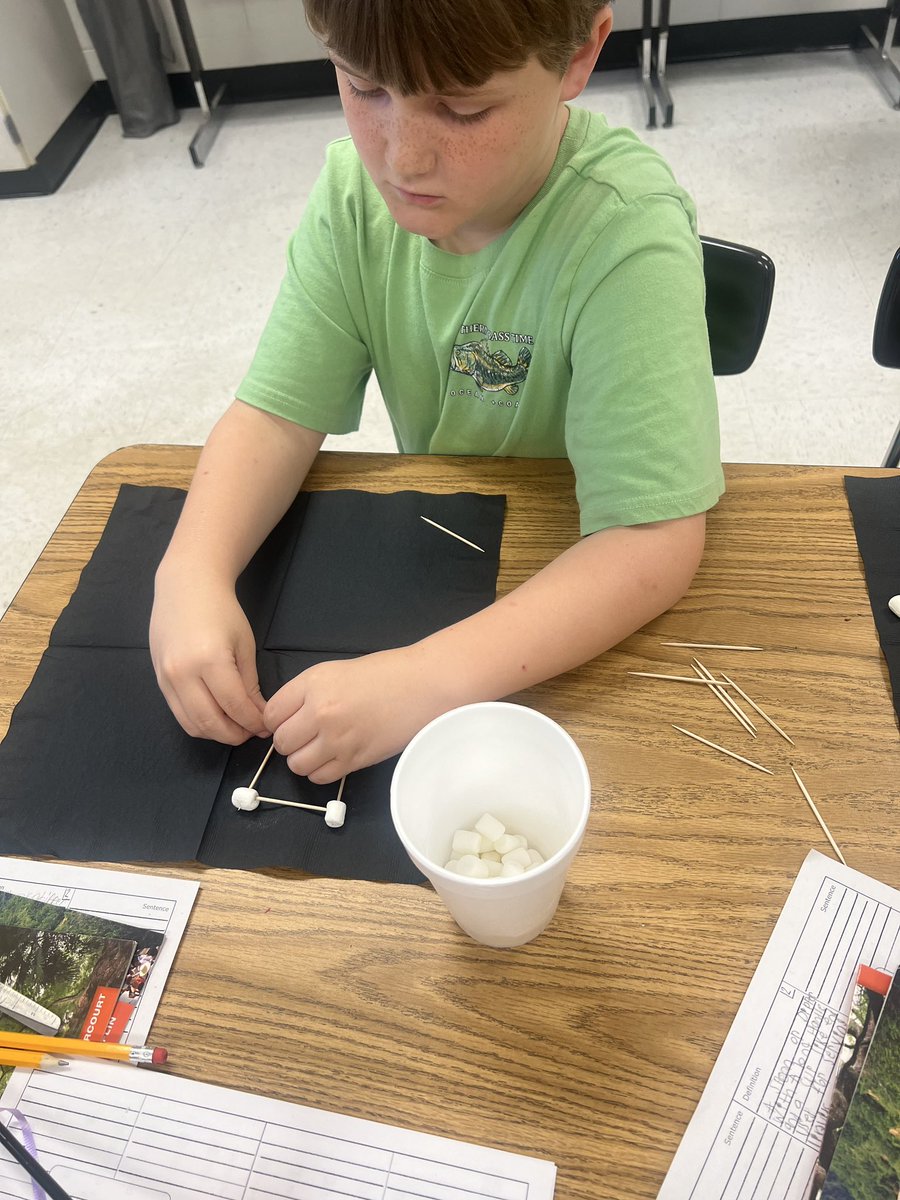 Milan Elementary tweet media