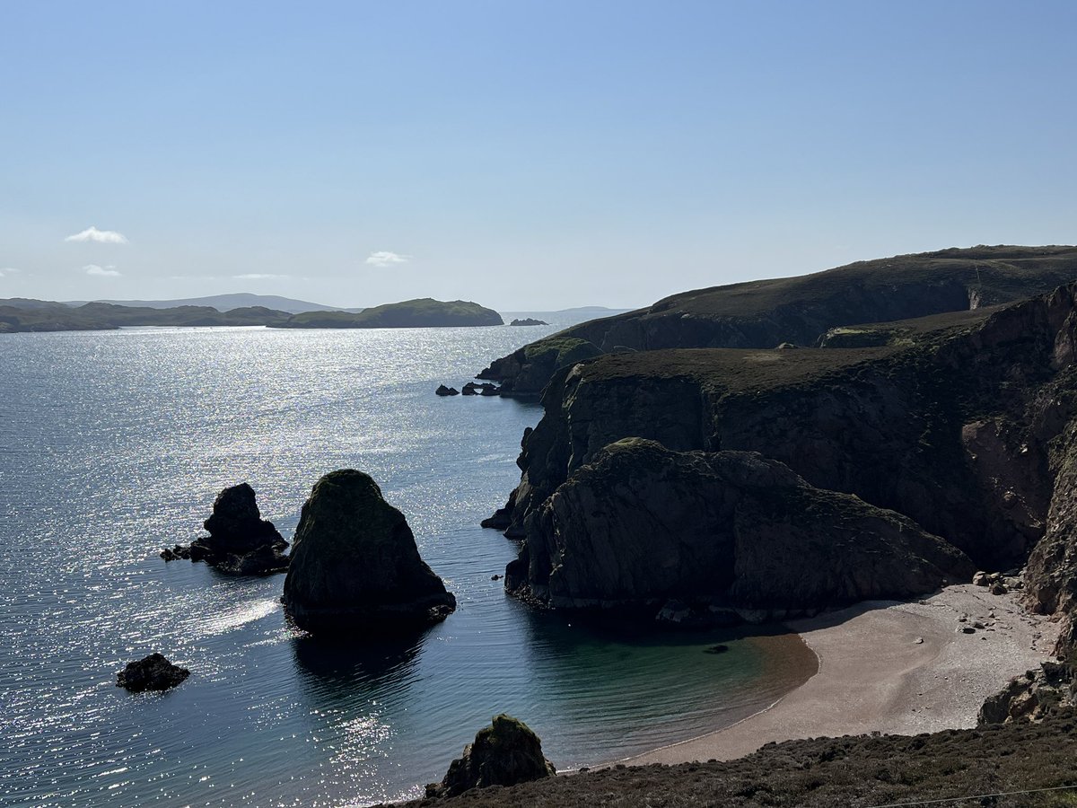 Sue Dawson tweet media