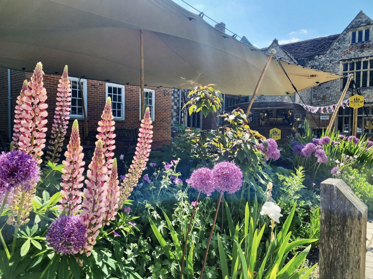 Why not pop down to Salisbury Museum over the sunny weekend ☀️