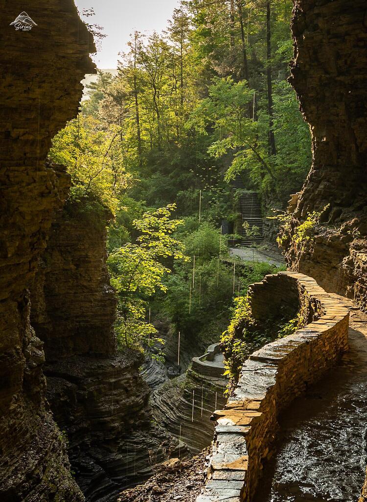 🔥 Watkins Glen 

#pic from u/TravelWhenICan7 on reddit

#FOTE #folksontheedge #fote #artist #etsy #etsyshop #epicpic #coolpic #nature #natureislit #natureisepic #beautiful #naturelover #travel #motherearth #awesome #coolanimals #coolrocks #animals