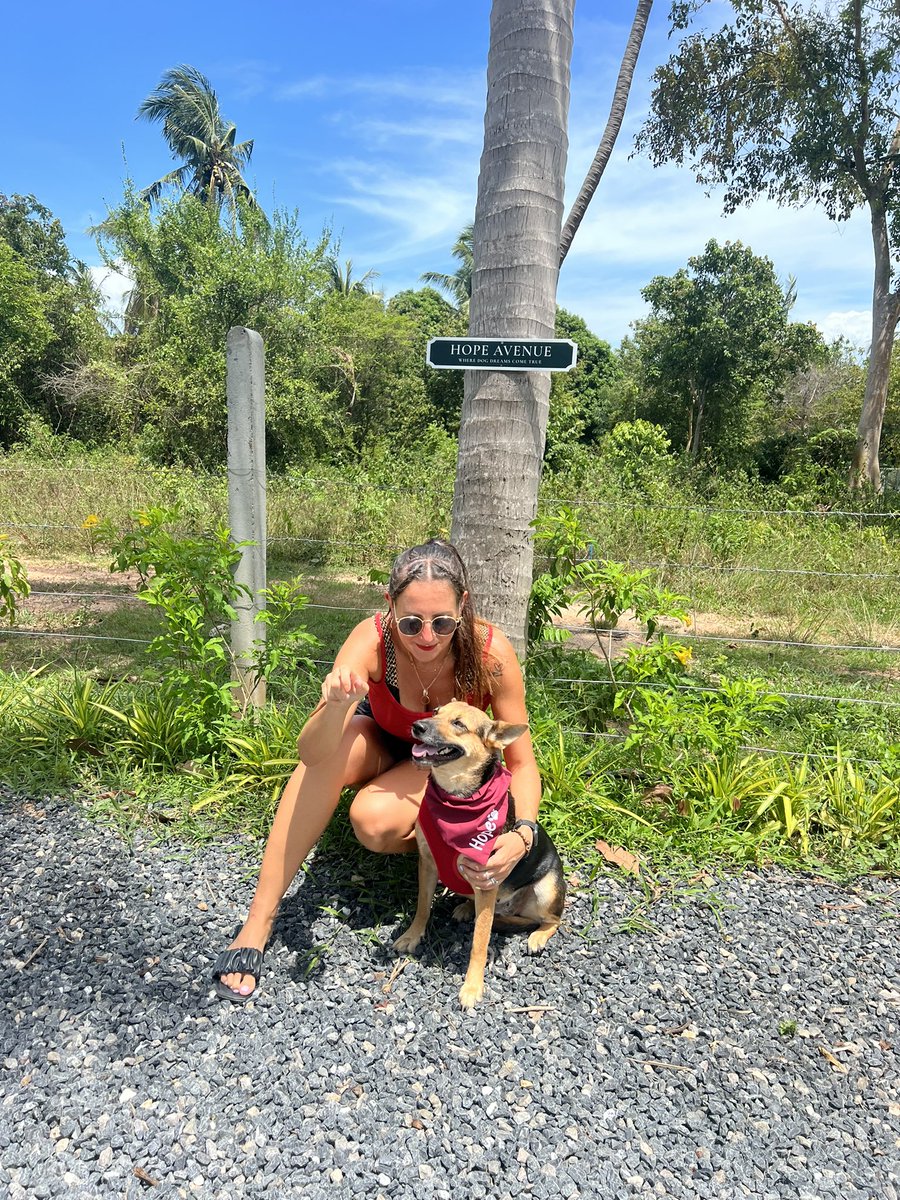 NiallHarbison's tweet photo. Her new mum will fly her to Essex. She even got her name tattooed on herself in Thai and English. 

People always think I’ll be sad to see dogs go. I’m the opposite… absolutely over the moon. A perfect ending for Hope. The best girl there ever was 🥰🥰 https://t.co/4pjGDu8a64