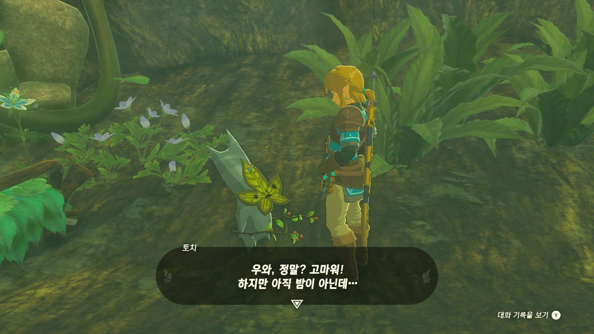 seulACNH's tweet photo. #젤다의전설티어스오브더킹덤 #TearsOfTheKingdom #Zelda #NintendoSwitch https://t.co/0H6x6vMSn8