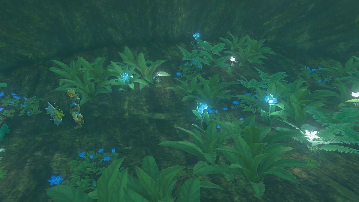 seulACNH's tweet photo. #젤다의전설티어스오브더킹덤 #TearsOfTheKingdom #Zelda #NintendoSwitch https://t.co/0H6x6vMSn8
