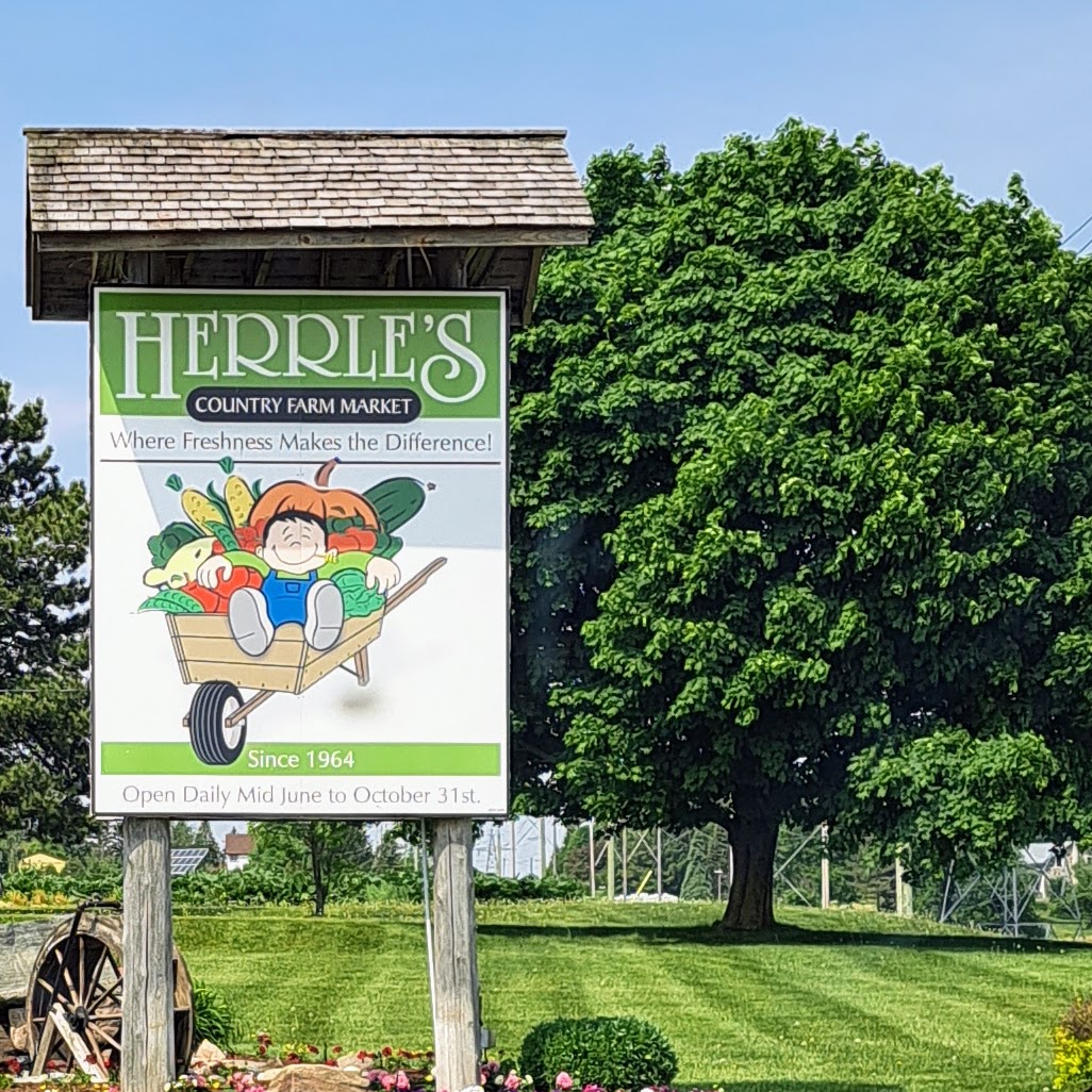 Opening Day at Herrle's Market!
Great strawberries and much more.
Spotted something that <a href="/farwell_WR/">Mike Farwell</a> would LOVE... and something that he would NOT... Guess which, below...