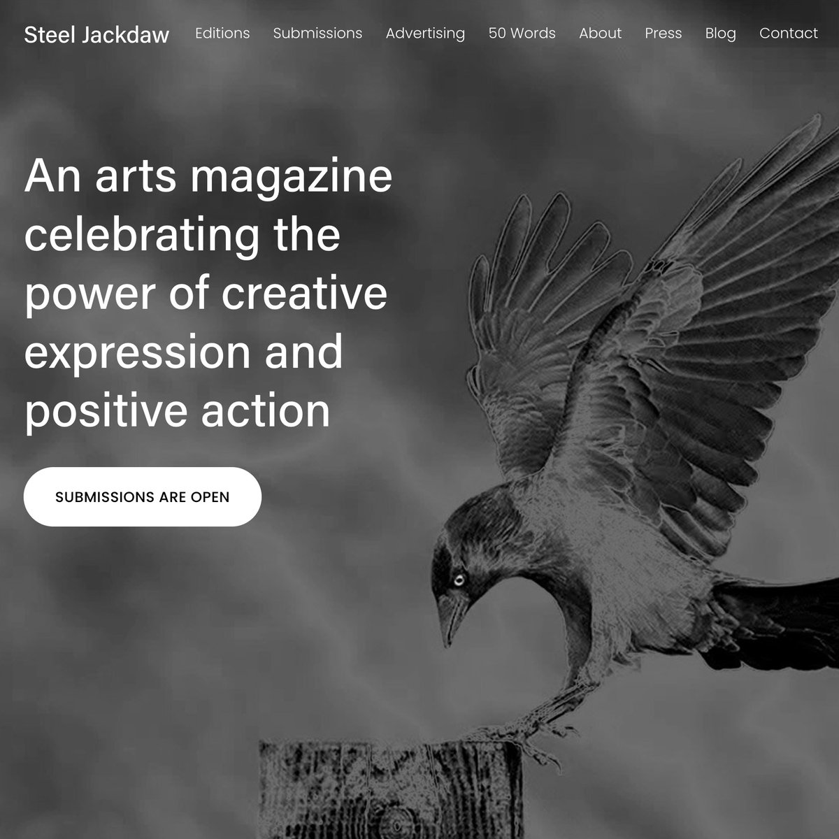 Submit your creativity to Steel Jackdaw magazine. The current selection window closes 9th of July.

steeljackdaw.com

#submissionsopen #writingcommunity #poetrycommunity #poetrymagazine #poetryjournal #creativewriting #artmagazine #wellbeing