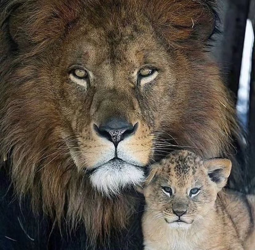 Oğluyla karizmatik bir fotoğraf…