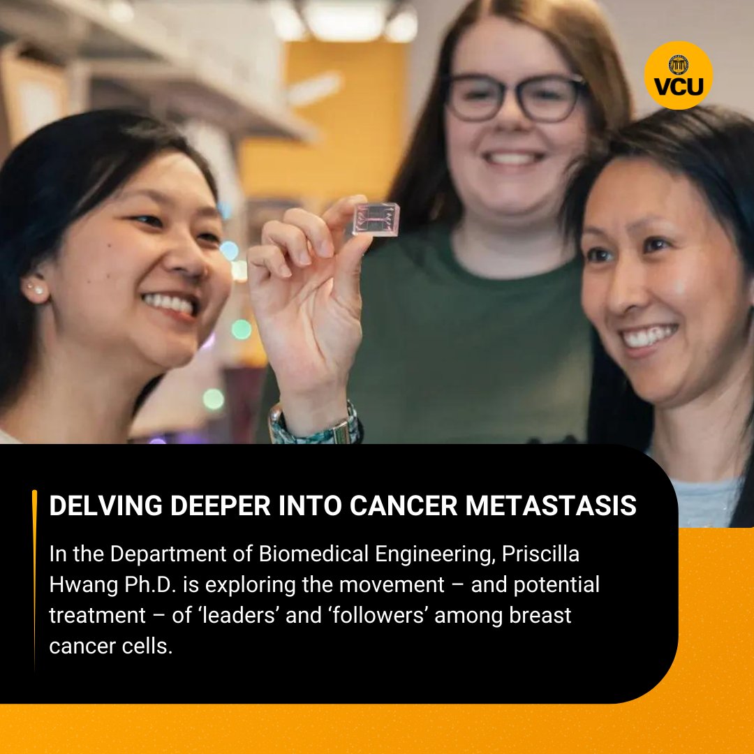 Fueled by new National Cancer Institute grant, #VCU’s Priscilla Hwang studies cancer metastasis in depth.

Read more: news.vcu.edu/article/2023/0…