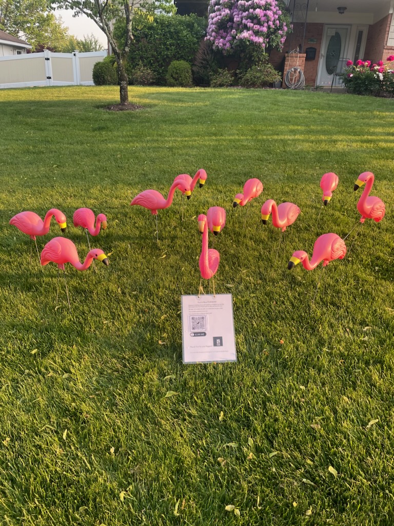 vhs spotlight players tweet media