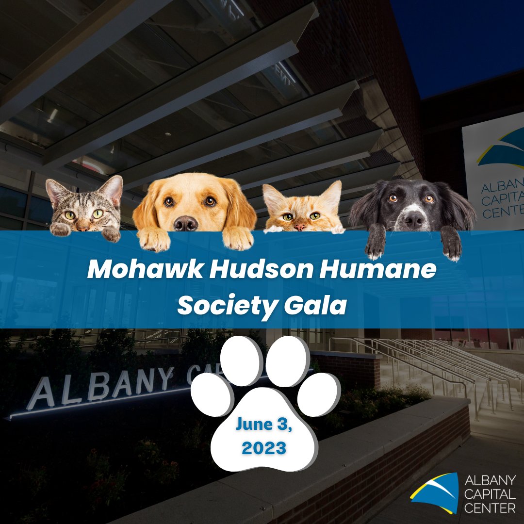 6.3 million pets enter U.S. shelters yearly. The Mohawk Hudson Humane Society guides them home. The ACC will host the MHHS Benson's Pet Center Gala for Animals to raise funds for the care of local pets. 

#Albany #DowntownAlbany #Events #DiscoverAlbany #ACCA #CapitalDistrict