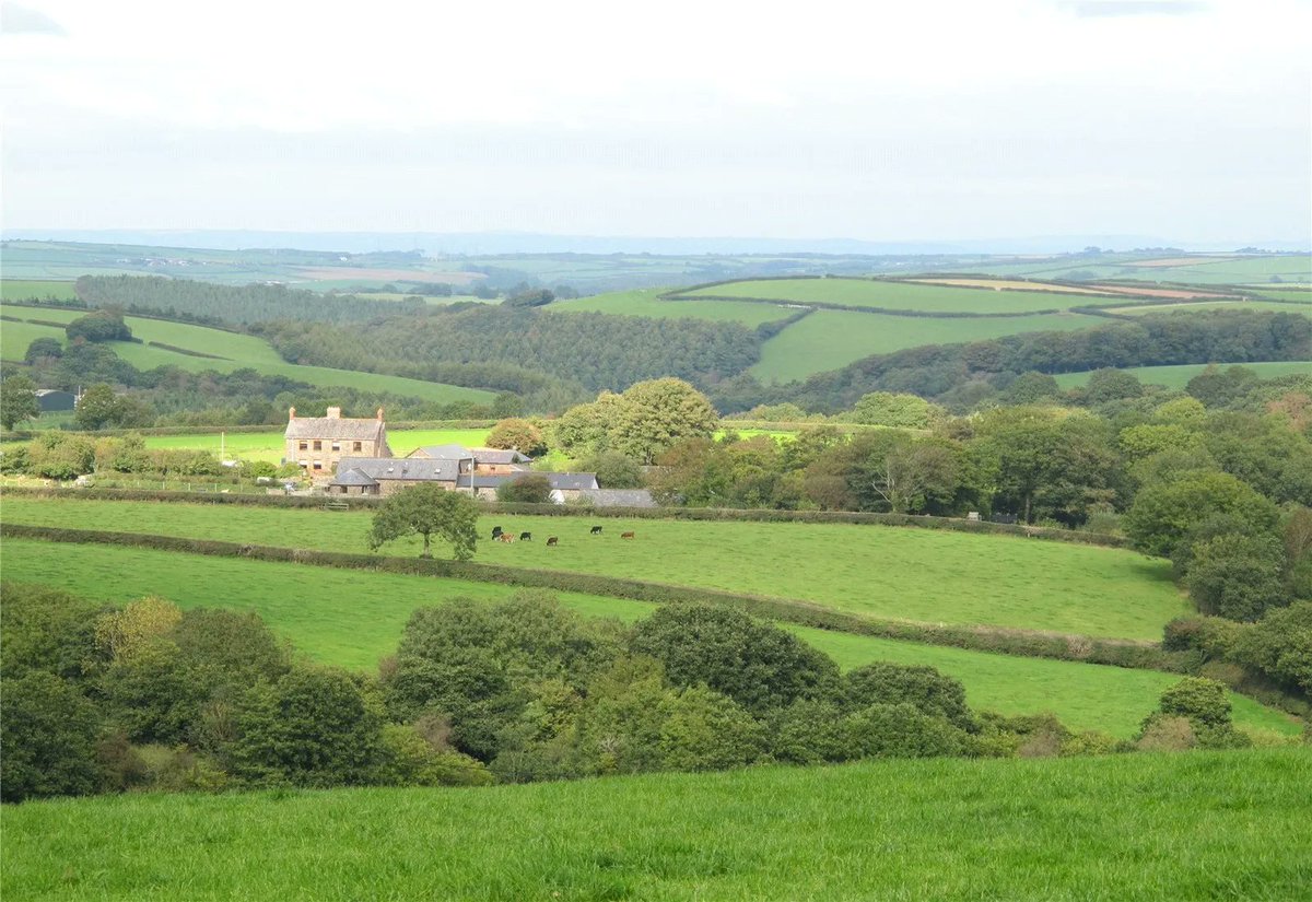 TheHolidayCots's tweet image. If you are looking for self-catering accommodation for groups and packed with facilities take a look at Birchill Farm &amp;amp; Cottages.
🛌Sleeps 1-32
theholidaycottages.co.uk/Devon/2981 
#Langtree #Torrington #Devon #SelfCatering #Groups #Animals #FamilyFriendly #PlayArea #Softplay #HotTub #Games