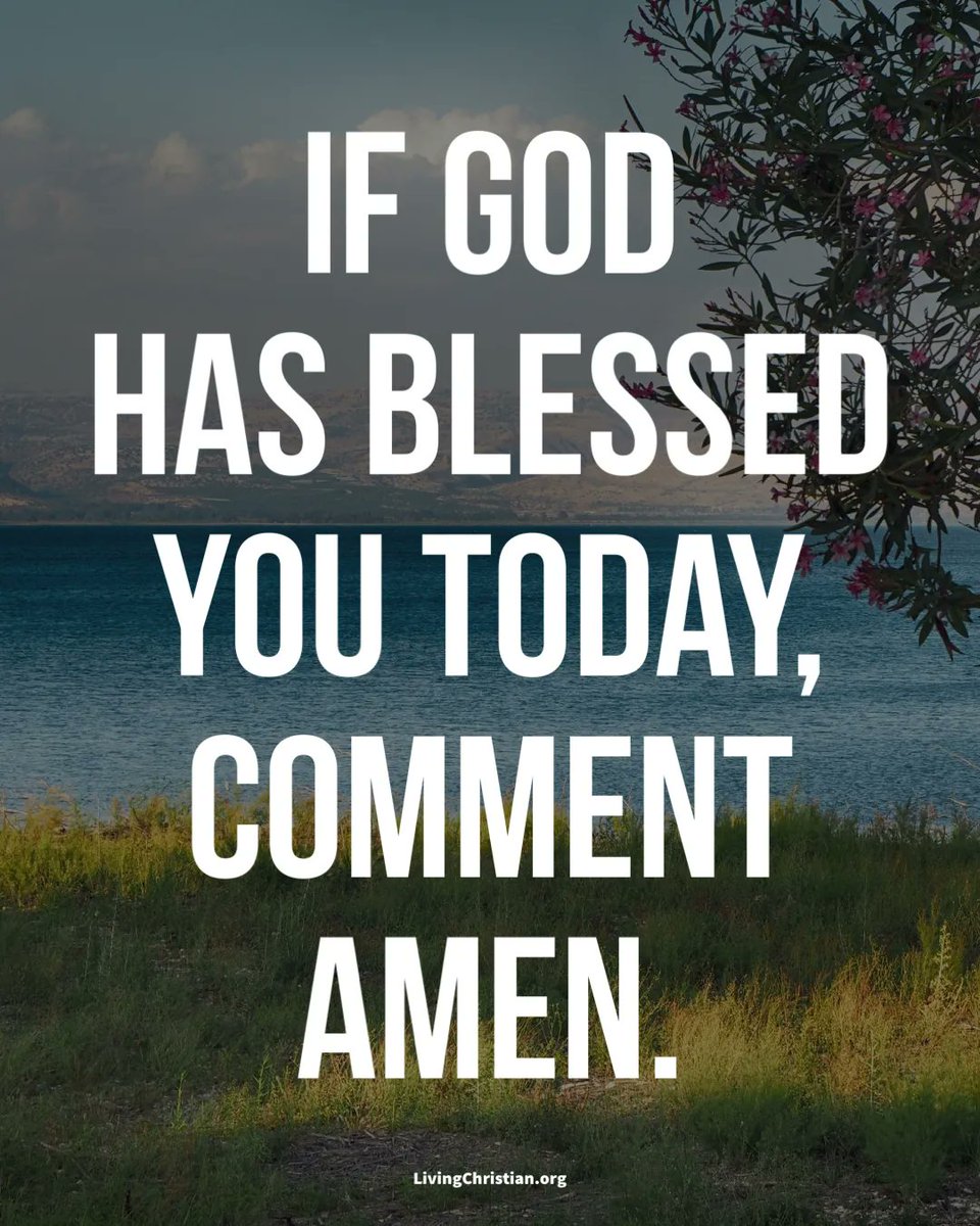 livechristian1's tweet image. Amen to that!!