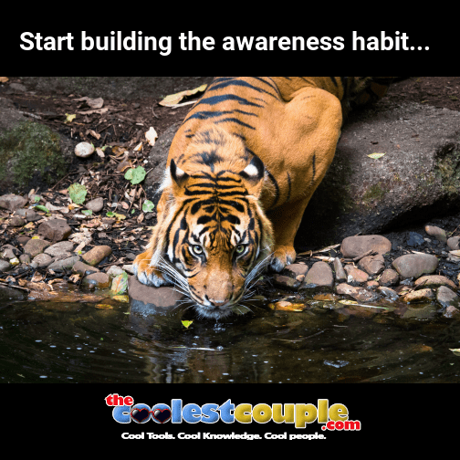Start building the awareness habit...

STOP and PAY ATTENTION. Set an intention to become aware of how you automatically react to different things in your life.

For example, how do you react to the alarm clock, the shower, traffic, work colleagues... vbt.io/the-coolest-co…