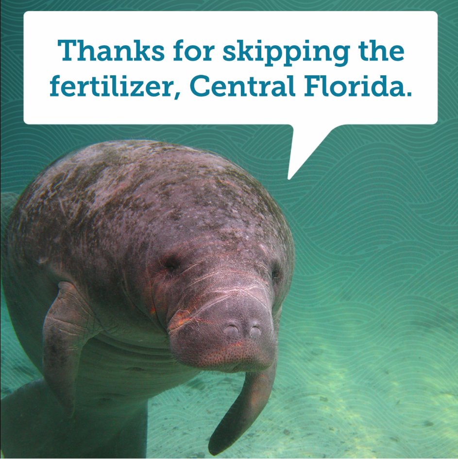 Orange County FL tweet media