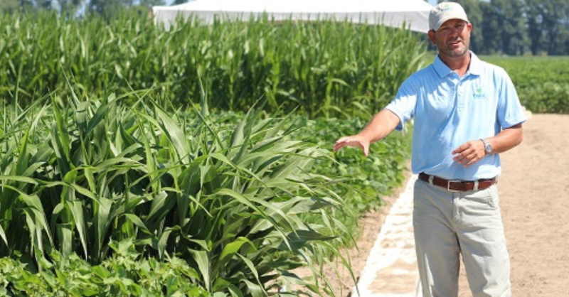 PhytoGenCotton's tweet photo. What do PhytoGen® W3FE varieties and Enlist® herbicides have in common? 

They’re a better fit for fields across the Cotton Belt. Find out why.