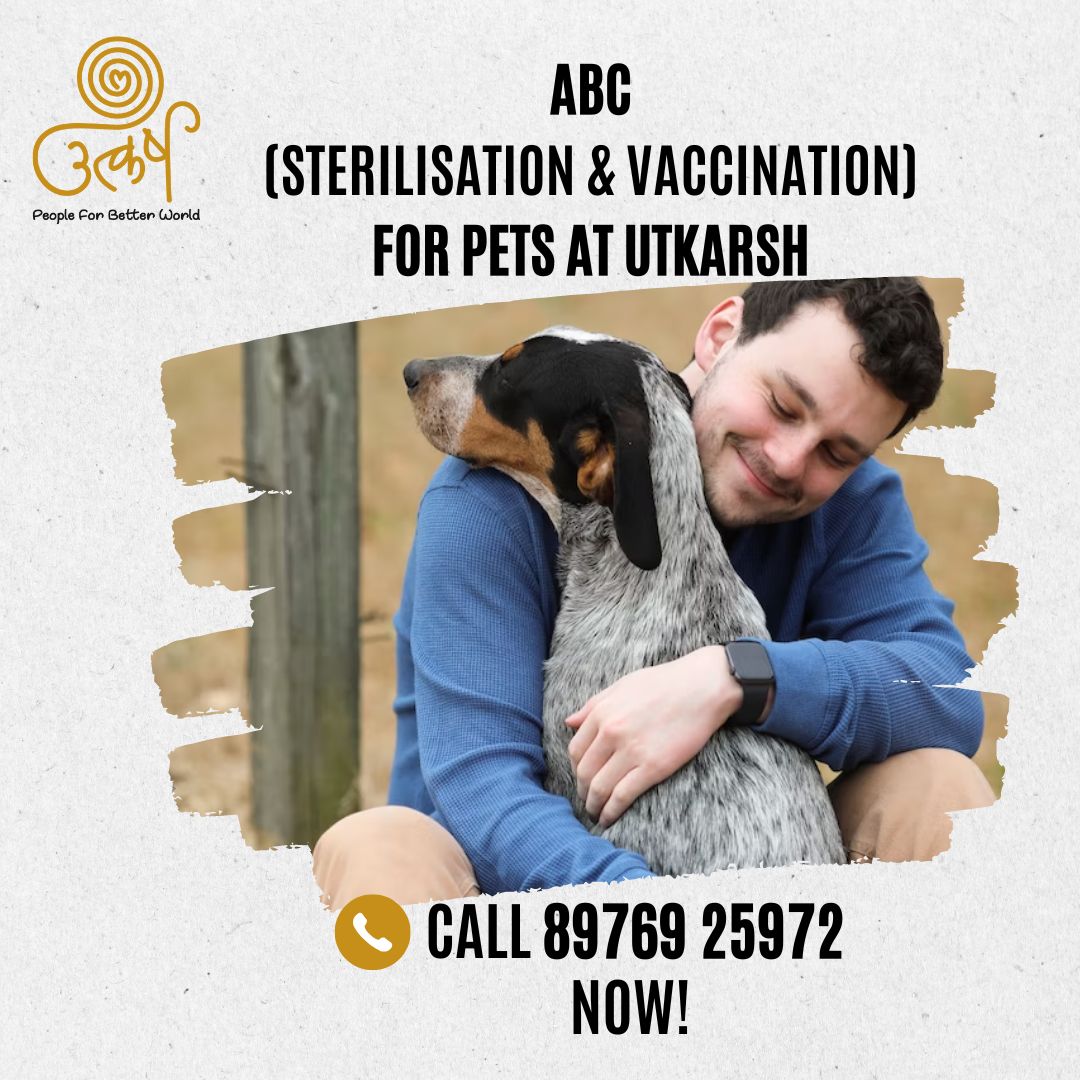 AnimalUtkarsh's tweet photo. #Sterilization &amp; #vaccination  prolong your pet’s life &amp; prevent fatal diseases such as testicular cancer &amp; prostate disease in males &amp; uterus infection &amp; mammary tumour in female. Give your pets the gift of life with sterilization and vaccination at #Utkarsh. Call now 8976925972 https://t.co/3jqtCWW94V