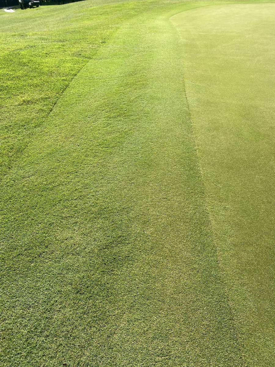 gcscook's tweet photo. Love the definition the Bermuda is providing this time of year. 

#FoundersCourse #Bermuda #Turfgrass #AlabamaGolf https://t.co/BU9CJGLnqB