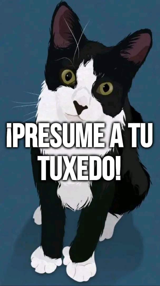 Sed de la malala 💜 tweet media