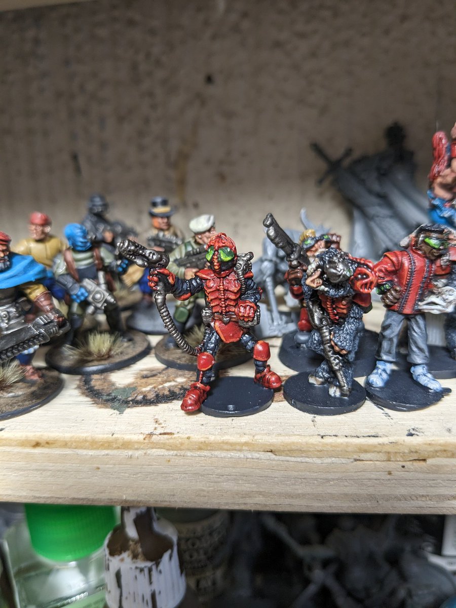 Stewart Young tweet media