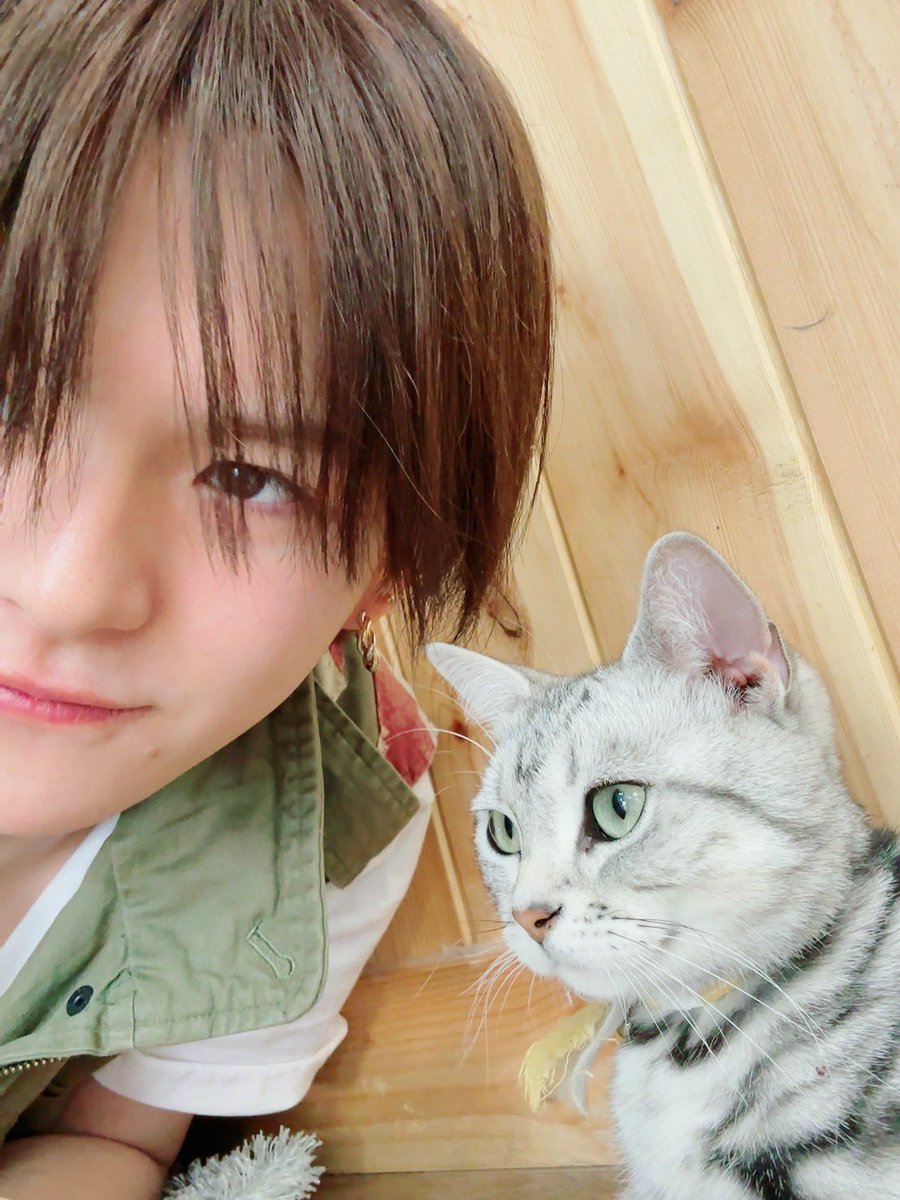 nekoyoshi_'s tweet photo. the resemblance is real https://t.co/704LEZlYUa