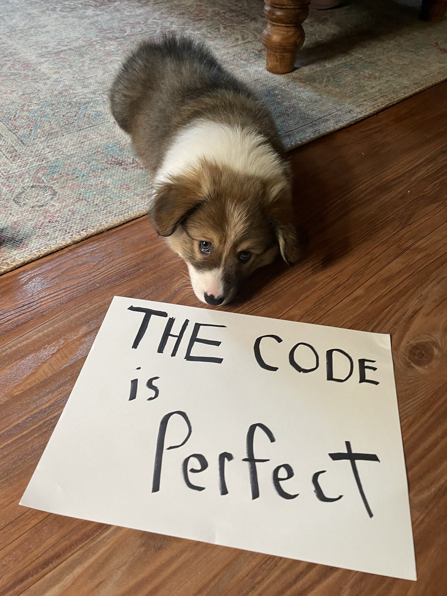 Devvy just did a code audit

The results are in

#puppy $DBI #cute