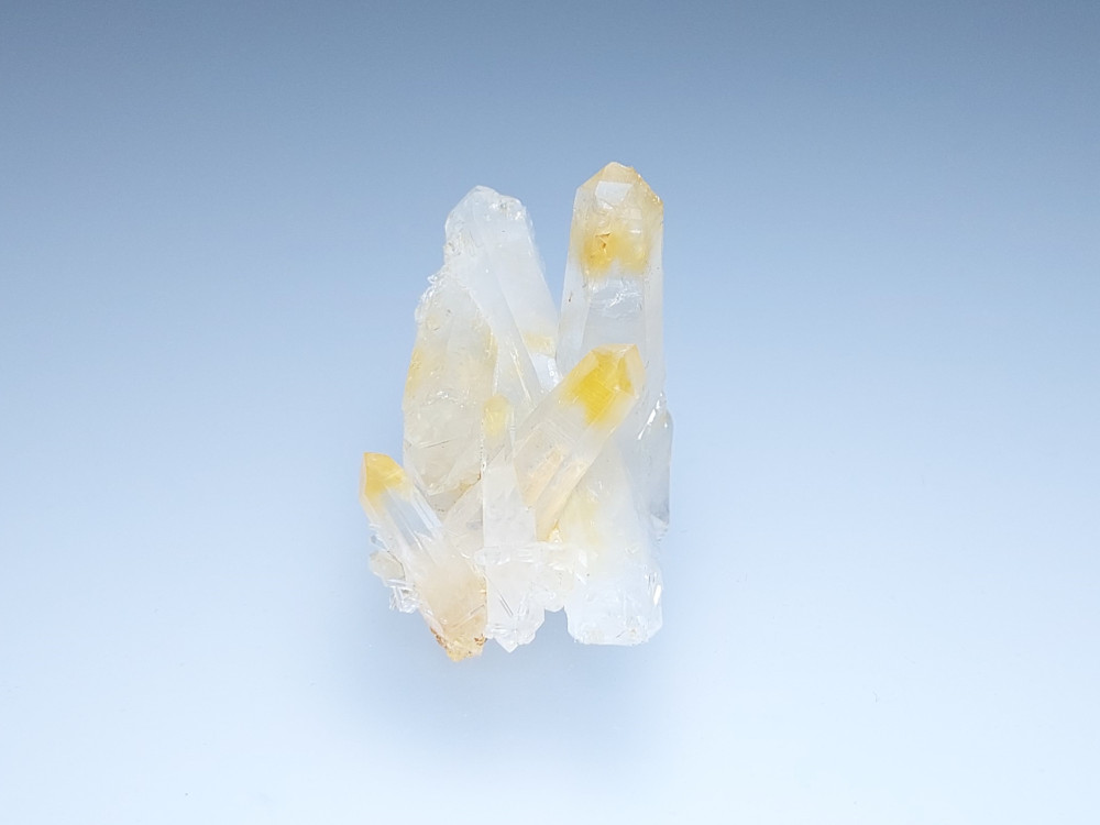 GeeksCrystal's tweet image. 콜롬비아산 망고쿼츠 클러스터
m.smartstore.naver.com/crystalgeeks/p…