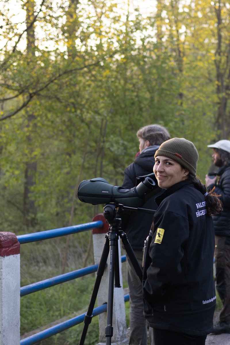 The smile on my face when surrounded by wild European bisons and white spotted woodpeckers Poland field season 2023