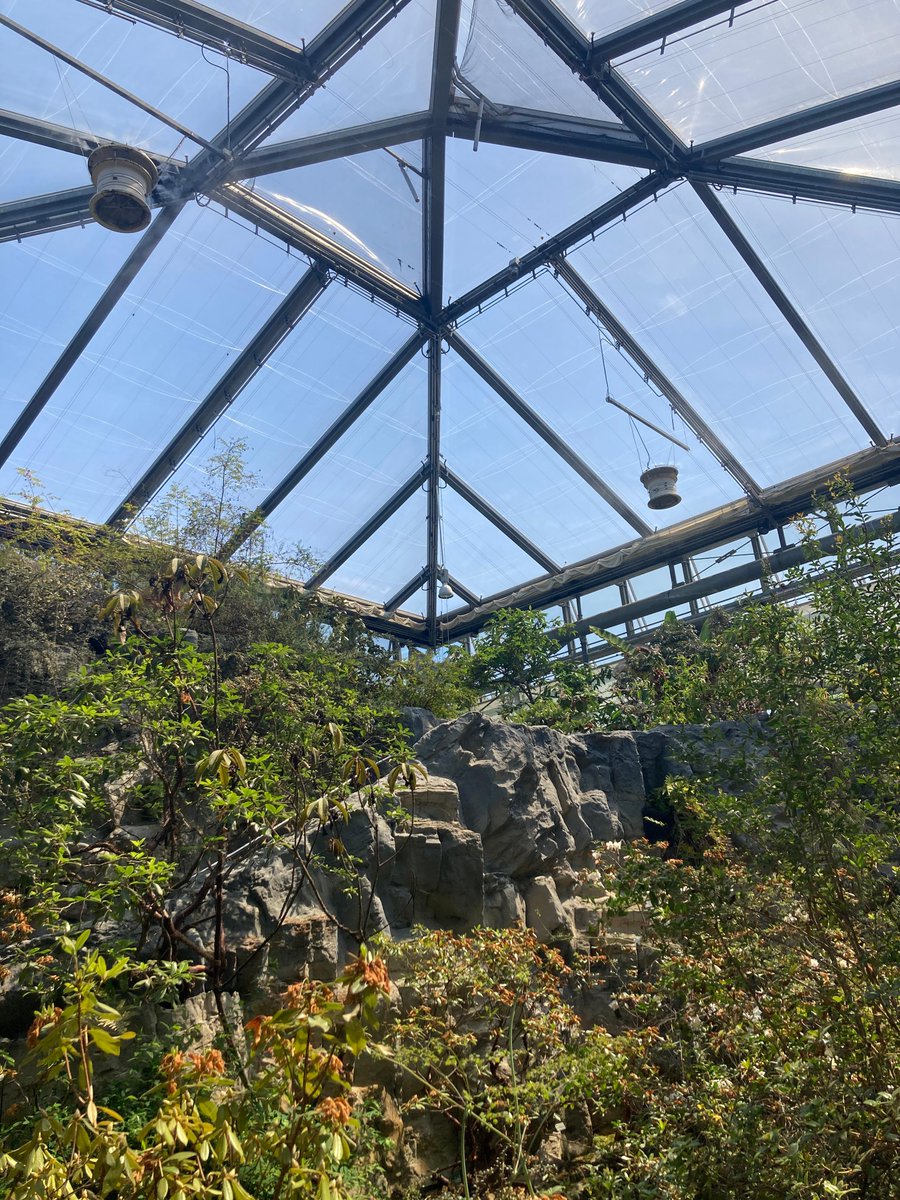 vectorfoiltec's tweet photo. Follow the butterflies... 🦋 The greenhouses and butterfly house in the Botanika Park in Bremen, Germany, house various tropical plants. In the butterfly house, visitors can enjoy over 80 types of exotic butterflies in all shapes, sizes and colors.

#VectorFoiltec #Texlon #ETFE https://t.co/A8PPRohWOG