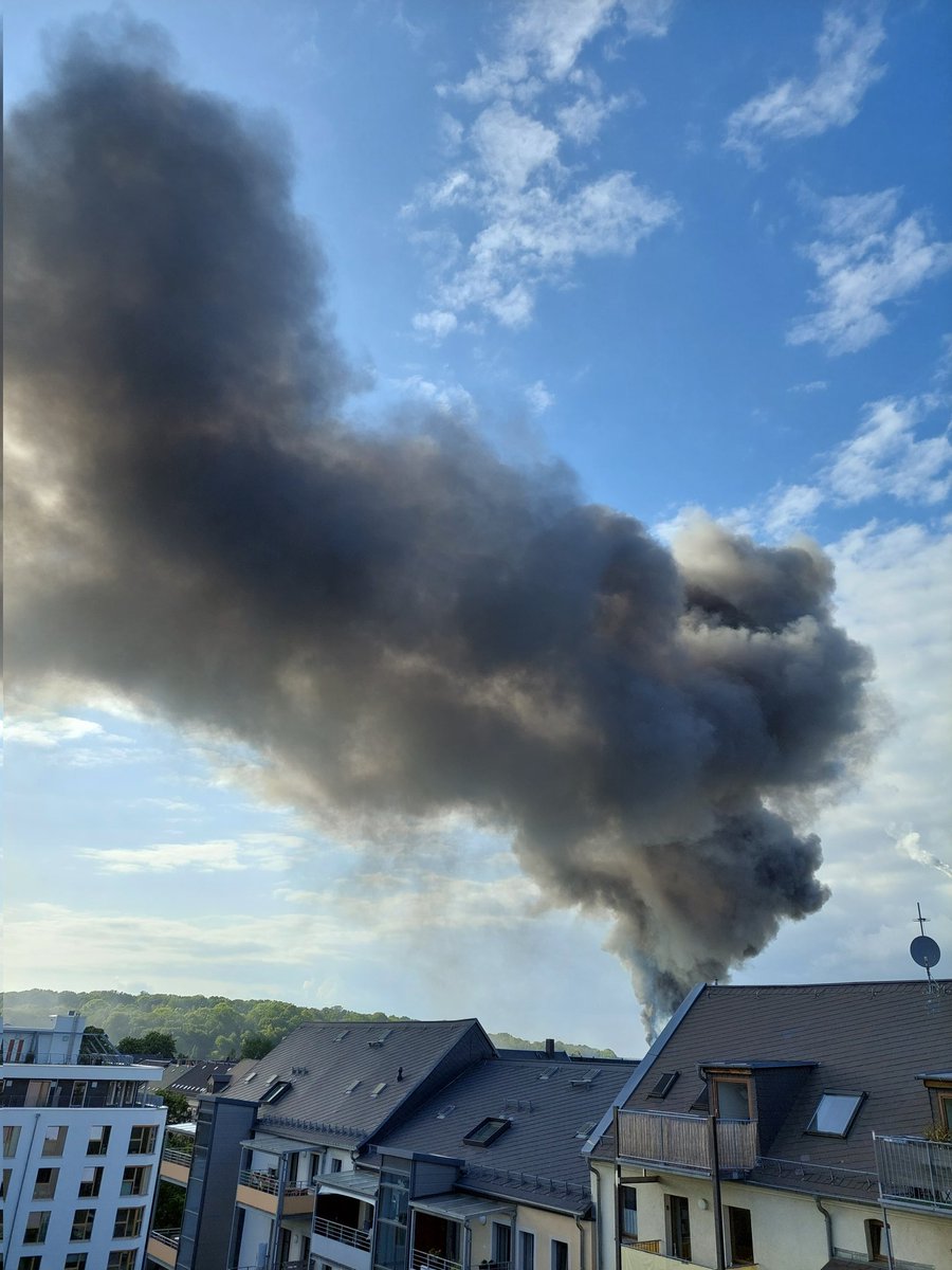 FrauHausC tweet media