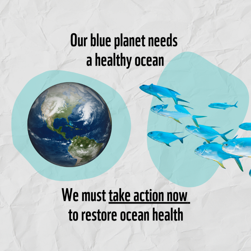 WWF's tweet photo. We want our #ocean to be protected. RT if you’re with us! #OceansWeek 🐋