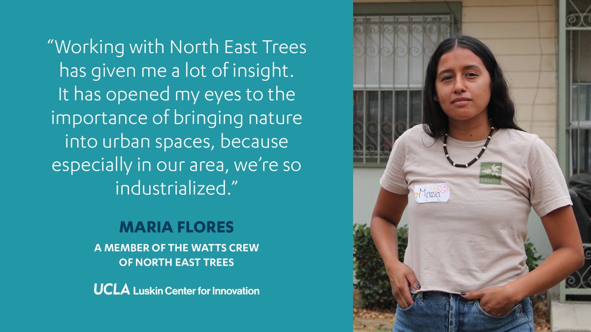 UCLA Luskin Center for Innovation (@luskincenter) on Twitter photo <a href="/WattsRising/">WattsRising</a> <a href="/UCLALuskin/">UCLA Luskin School of Public Affairs</a> <a href="/CalSGC/">SGC | CA Strategic Growth Council</a> <a href="/CAClimateInvest/">California Climate Investments</a> The #TCC-funded <a href="/WattsRising/">WattsRising</a> urban forestry project w/ <a href="/NorthEastTrees/">North East Trees</a> empowers young residents - like Maria - w/ technical skills, community engagement experience & career inspiration. With <a href="/CalSGC/">SGC | CA Strategic Growth Council</a> & <a href="/CAClimateInvest/">California Climate Investments</a> 2/2 <a href="/WattsRising/">WattsRising</a> <a href="/UCLALuskin/">UCLA Luskin School of Public Affairs</a> <a href="/CalSGC/">SGC | CA Strategic Growth Council</a> <a href="/CAClimateInvest/">California Climate Investments</a> The #TCC-funded <a href="/WattsRising/">WattsRising</a> urban forestry project w/ <a href="/NorthEastTrees/">North East Trees</a> empowers young residents - like Maria - w/ technical skills, community engagement experience & career inspiration. With <a href="/CalSGC/">SGC | CA Strategic Growth Council</a> & <a href="/CAClimateInvest/">California Climate Investments</a> 2/2