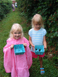 Garden Tip of the Day: Pick blackberries every day. Acdg to Texas A&M AgriLife, white spots on the fruit indicate stink bug damage, but spots can be cut out and the fruits eaten, if damage is not extensive.
#gardendc #gardening #gardentips #gardenhack #gardeningtipsforbeginners