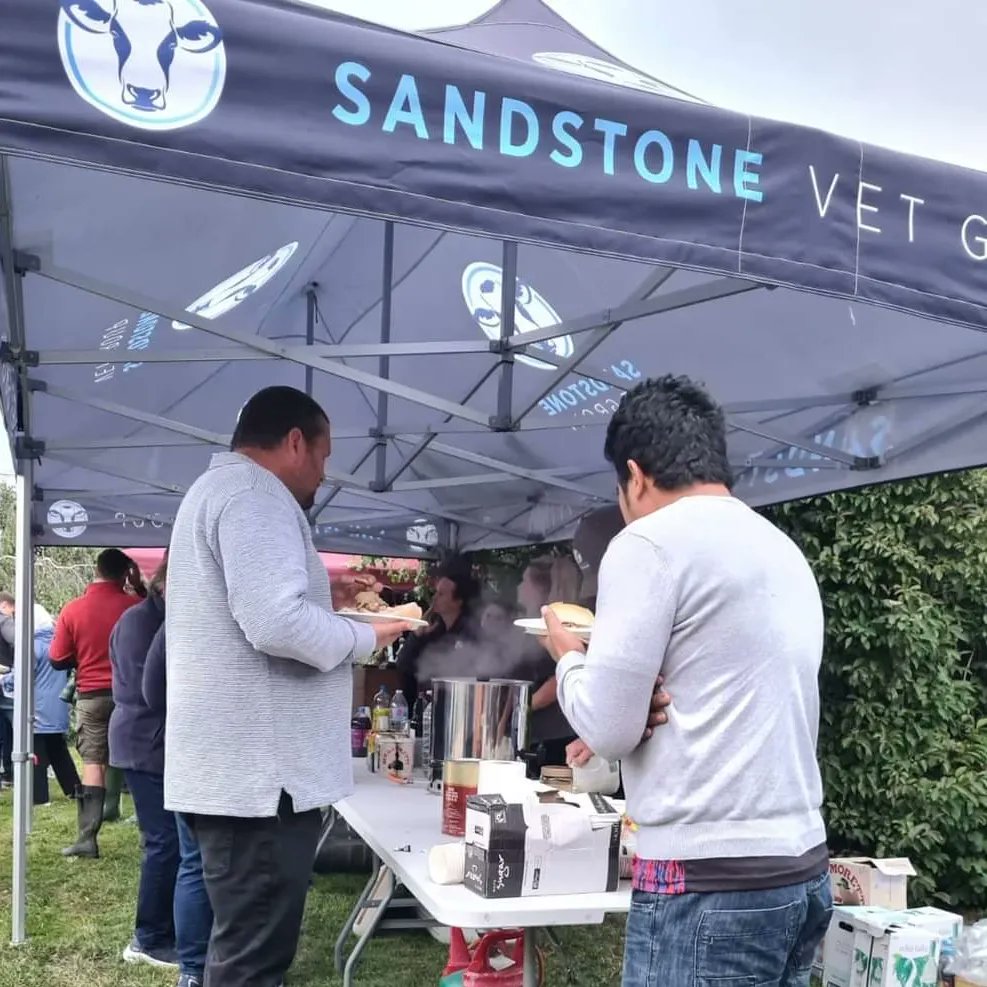 Western Holstein Club tweet media