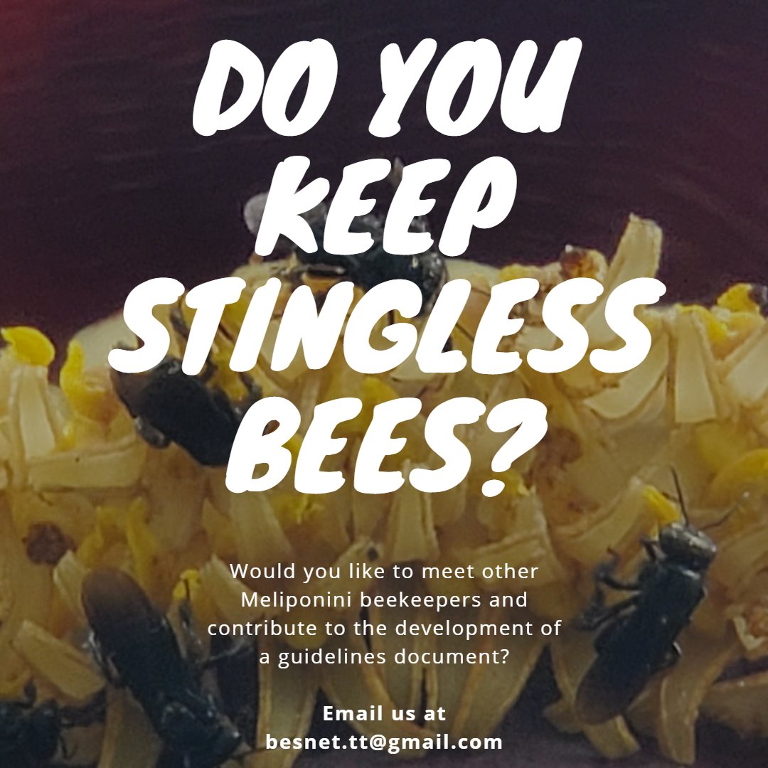 besnet_tt's tweet photo. Do you keep stingless bees?

Would you like to meet other #Meliponini #beekeepers and contribute to a guidance document for Meliponini beekeeping?

Email us at besnet.tt@gmail.com to participate this upcoming weekend! https://t.co/52fNSJy9Ba